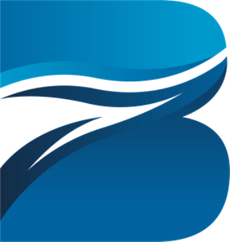 Biz - Business Consulting